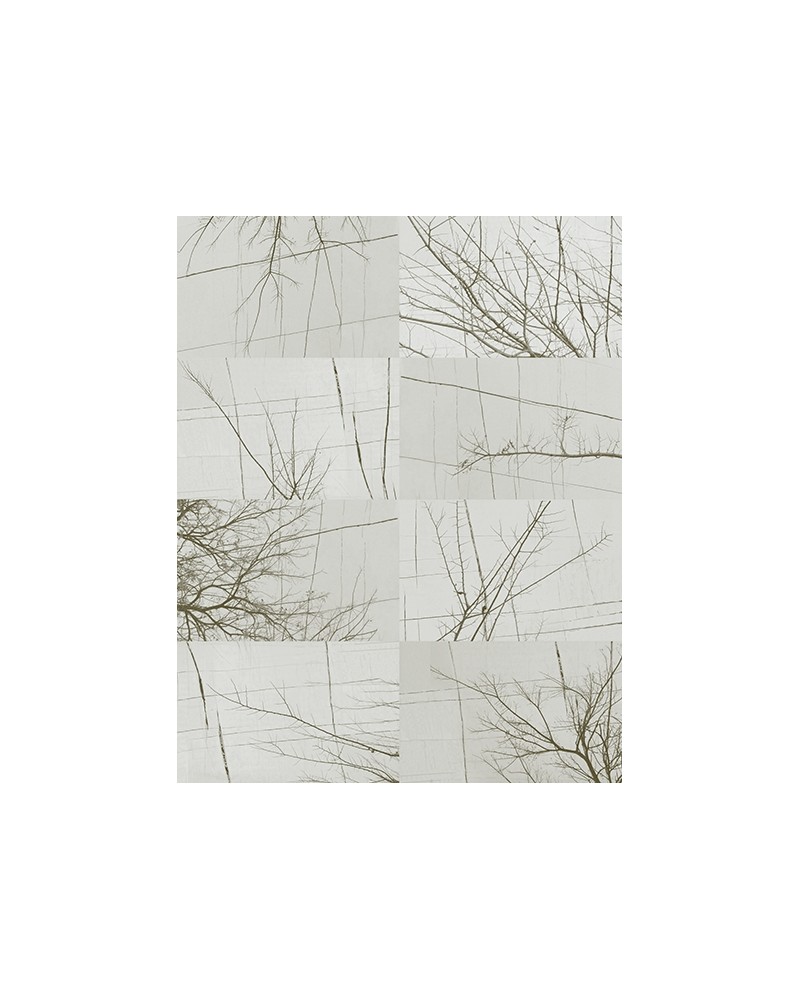 Wallpaper BOIS D'HIVER WDBH1702 - WALL AND DECO