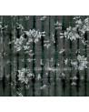 Wallpaper BOLSHOI WDBO1702 - WALL AND DECO