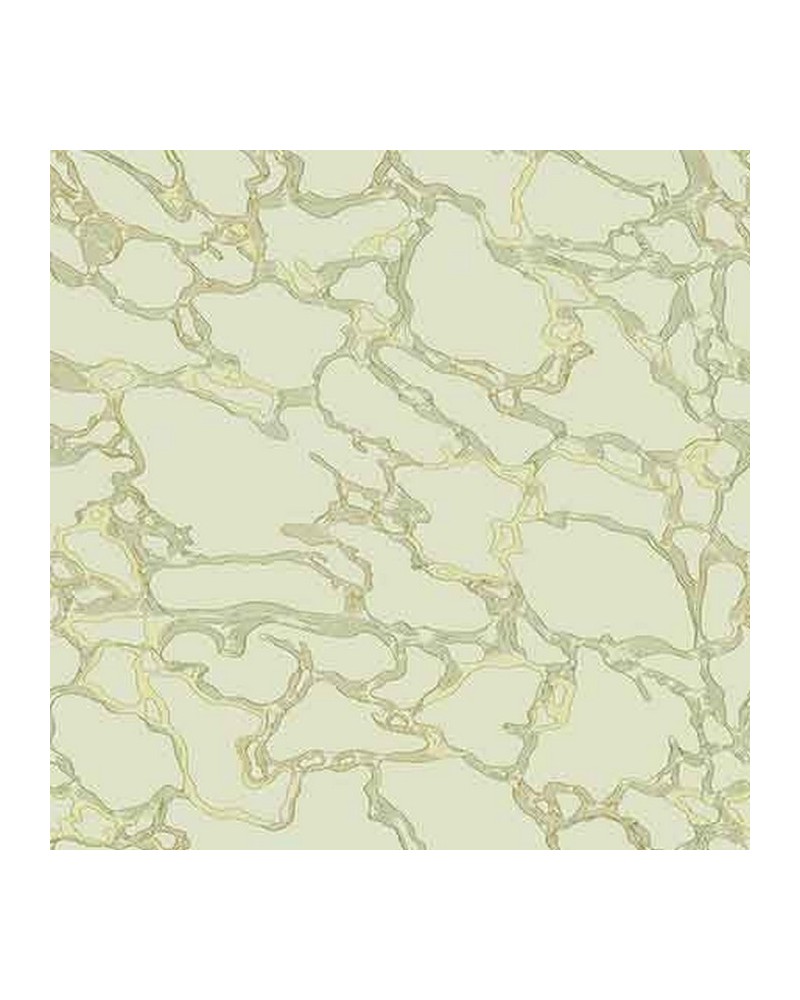 WP26880-003 MARBLE