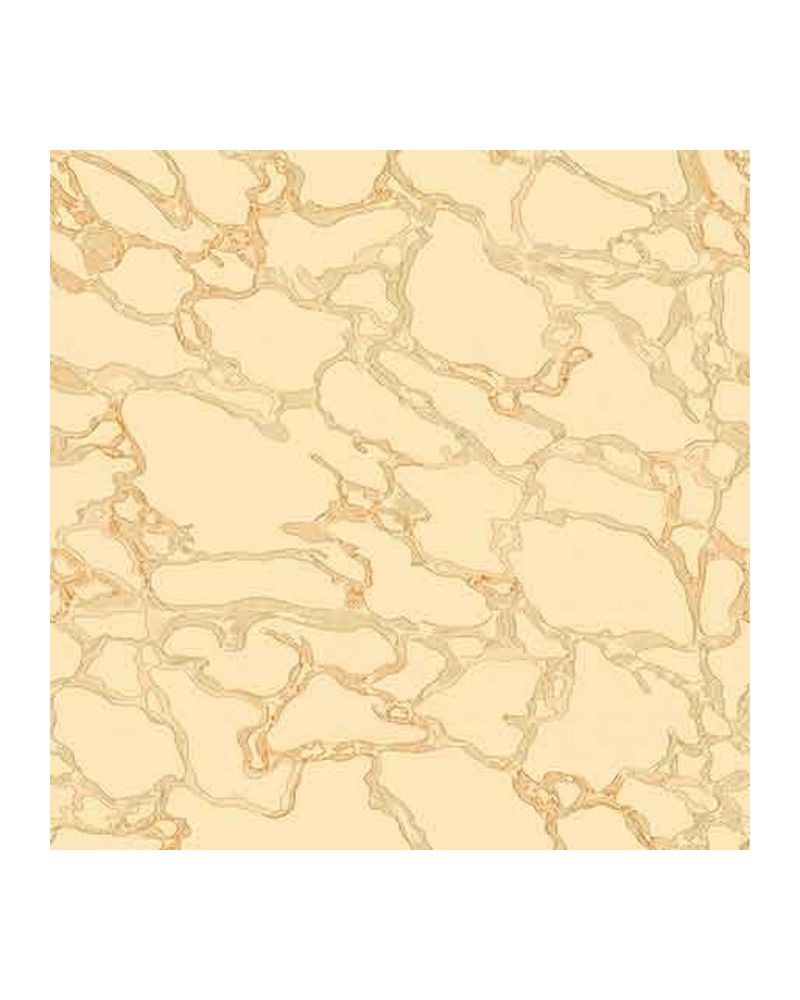 WP26880-004 MARBLE