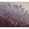 JO 1006-2 Jardin anglais