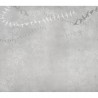 JO 1034-3 Oiseaux