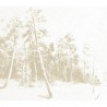 Papel de parede JO 1042-1 Ink-Woods - Tres Tintas