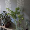 Papel de parede P576-01 KALPANA - ALABASTER - Designers Guild