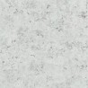 Carta da Parati PDG1025/06 LUSTRO ZINC - Designers Guild
