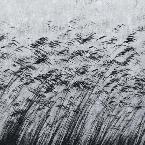 Papel Pintado GONE WITH THE WIND 15134 3 - LONDON ART Papel Pintado GONE WITH THE WIND 15134 3 - LONDON ART