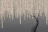 Papel de parede WILLOW 14078 1 - LONDON ART