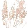 EN FLEURS 17504-2