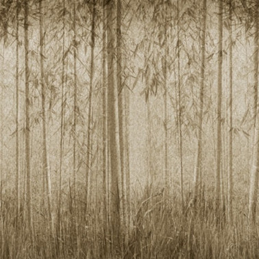 Papel de parede SAUVAGE 12SV01 - LONDON ART