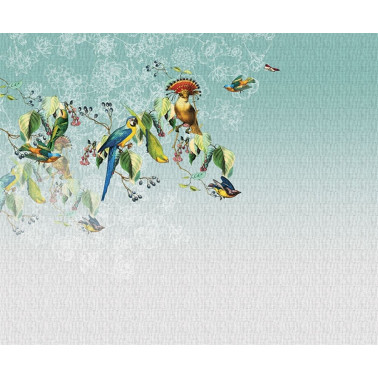 VALLERY'S PARROT 13VP03