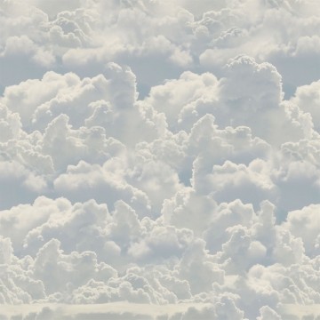 Cielos y Nubes