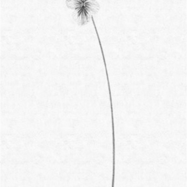 Papel de parede THE SECOND WAVE 14150 02 - LONDON ART Papel de parede THE SECOND WAVE 14150 02 - LONDON ART