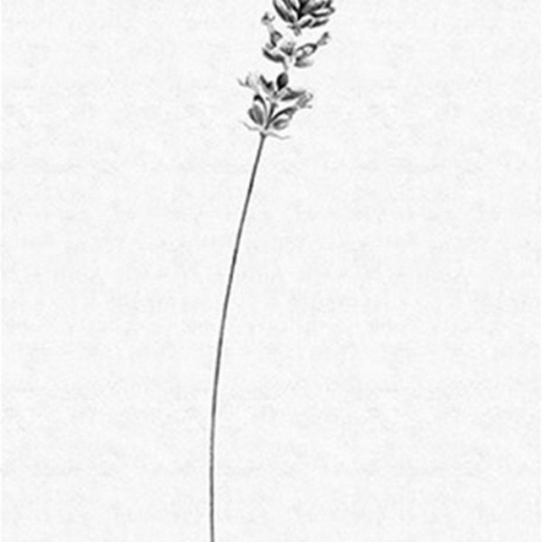 Papel de parede THE SECOND WAVE 14150 08 - LONDON ART Papel de parede THE SECOND WAVE 14150 08 - LONDON ART