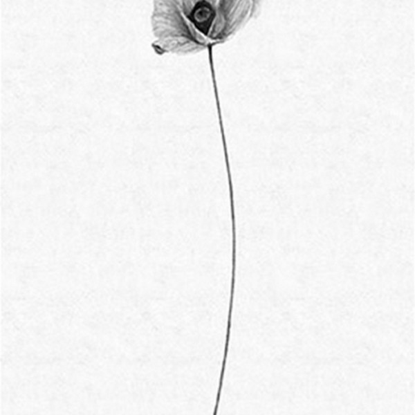 Papel de parede THE SECOND WAVE 14150 10 - LONDON ART Papel de parede THE SECOND WAVE 14150 10 - LONDON ART