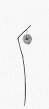 Papier peint THE SECOND WAVE 14150 05 - LONDON ART