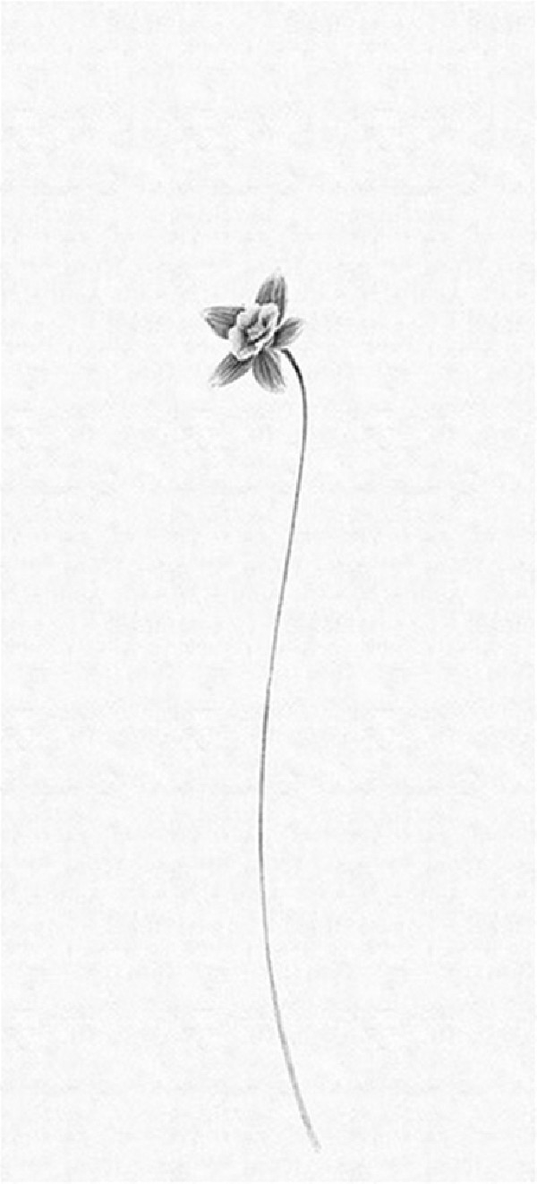 Papel de parede THE SECOND WAVE 14150 07 - LONDON ART