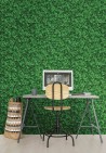 Papel Pintado TROUBLE 14029 1 - LONDON ART