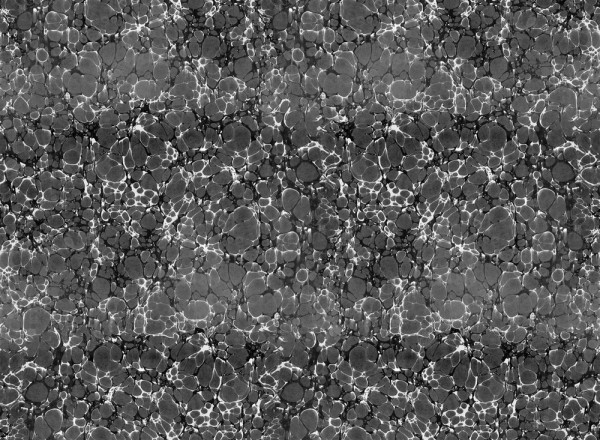 Papel de parede SUMINAGASHI I 17010-02 - LONDON ART