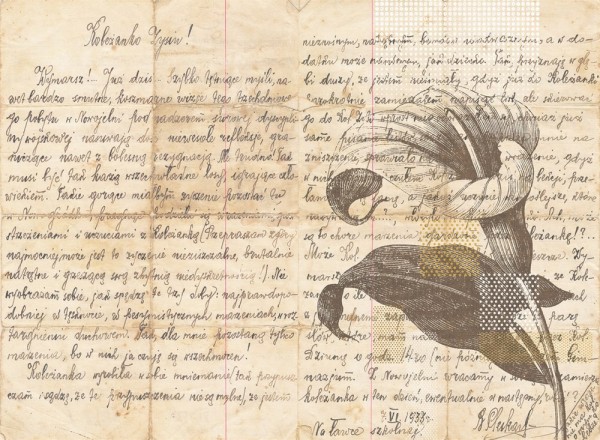 Papel de parede WORDS AND FLOWERS 15161-01 - LONDON ART