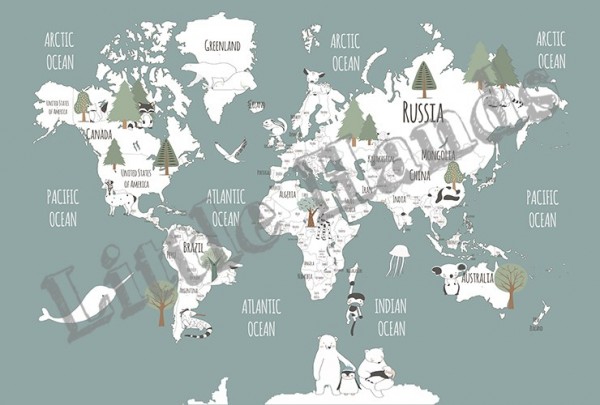 Mapa do mundo dos animais V