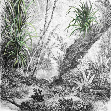 Tapete FORESTA INKDFFU1602 - INKIOSTRO BIANCO