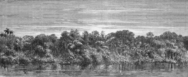 Carta da Parati JUNGLEI NKSINN1601 - INKIOSTRO BIANCO