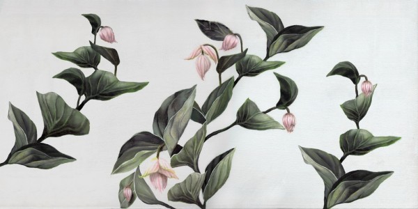 Carta da Parati MEDINILLA INKZHYE1601 - INKIOSTRO BIANCO