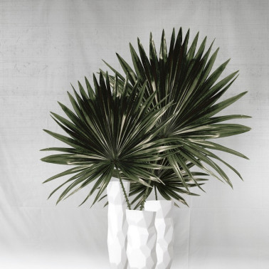 Tapete MIAMI INKIEYI1801 - INKIOSTRO BIANCO