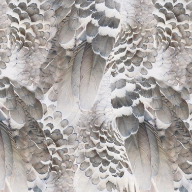 Wallpaper WINGS INKRABH1803 - INKIOSTRO BIANCO