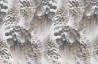 Papier peint WINGS INKRABH1803 - INKIOSTRO BIANCO