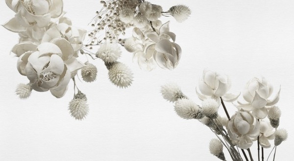 Wallpaper WINTER INKZPUO1801 - INKIOSTRO BIANCO