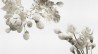 Wallpaper WINTER INKZPUO1801 - INKIOSTRO BIANCO
