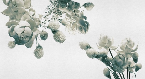Wallpaper WINTER INKZPUO1802 - INKIOSTRO BIANCO