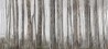 Papel de parede LITTLE RED RIDING HOOD INKGFAY1501 - INKIOSTRO BIANCO
