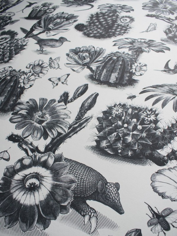 Papel Pintado Priscilla Black White DVS006 - DIVINE SAVAGES