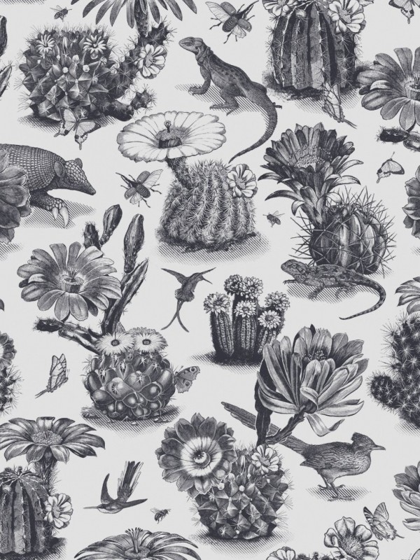 Papel de parede Priscilla Black White DVS006 - DIVINE SAVAGES