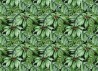 Carta da Parati BANANA LEAF MURAL - ANEWALL