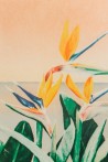 Wallpaper MELIKA MURAL - ANEWALL