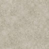 113-9026 Haze