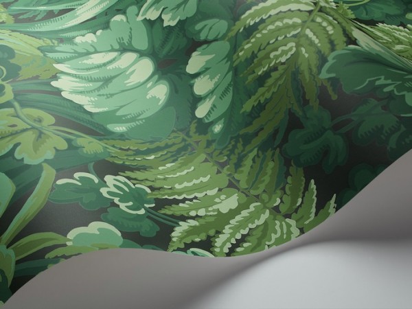 Papel Pintado 113-3009 Royal Fernery - COLE and SON