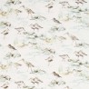 DEBB226426 ESTUARY BIRDS