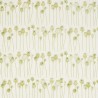 DEBB226431 POPPY PODS