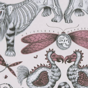 Tapete Extinct Pink WP W0100-05 - CLARKE & CLARKE