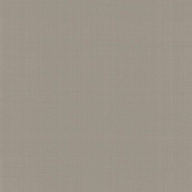 Papel de parede PLAIN SALOMÉ-IOLANTA-NABUCCO-LOHENGRIN N. GA4 9063 - ARMANI CASA