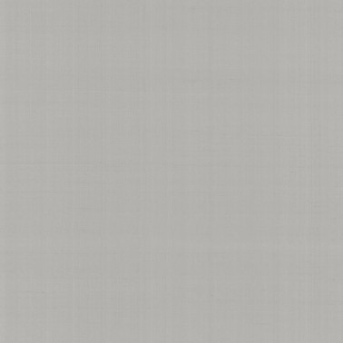 Papel de parede PLAIN SALOMÉ-IOLANTA-NABUCCO-LOHENGRIN N. GA4 9062 - ARMANI CASA