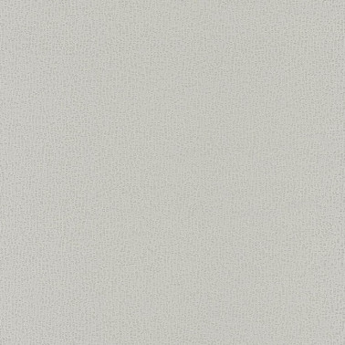 Carta da Parati SCOL 80540106 - Casadeco