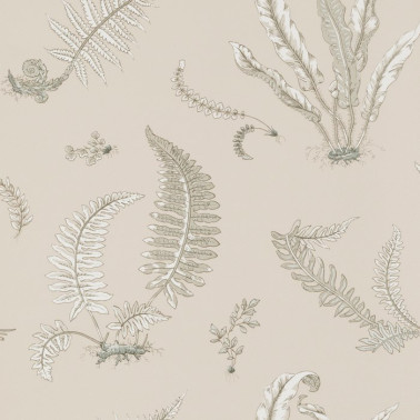 Wallpaper BW45044_8 FERNS - GP & JBAKER