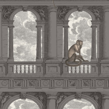 Papel Pintado Procuratie con vista 114-8016 - COLE and SON