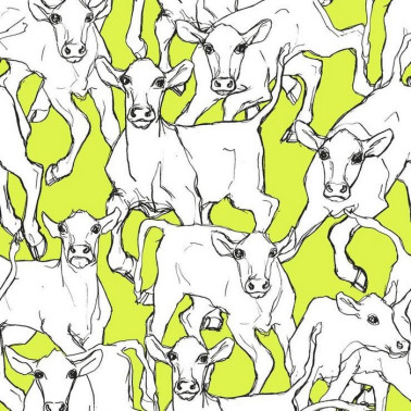Wallpaper ILTAVILLI 14105 - MARIMEKKO