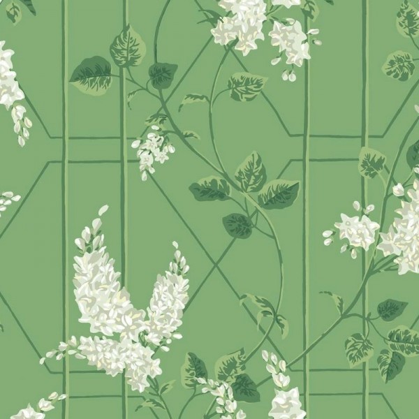 Carta da Parati Wisteria 115-5016 - COLE and SON Carta da Parati Wisteria 115-5016 - COLE and SON